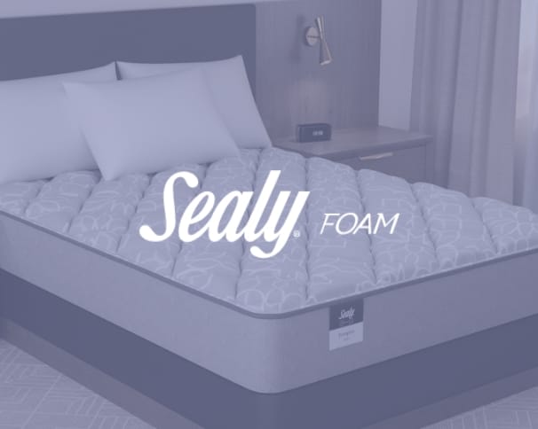 Sealy center deals parcs mattress