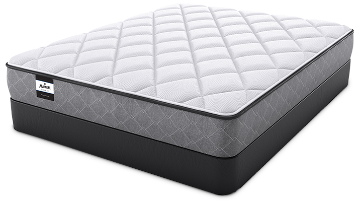 sealy artesia hd plush mattress reddit